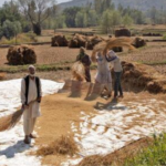 Centre increases support price for Kharif crops