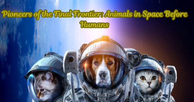 Pioneers of the Final Frontier: Animals in Space Before Humans